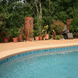 Pam's pool has never looked better!  Her flowers love it too! 